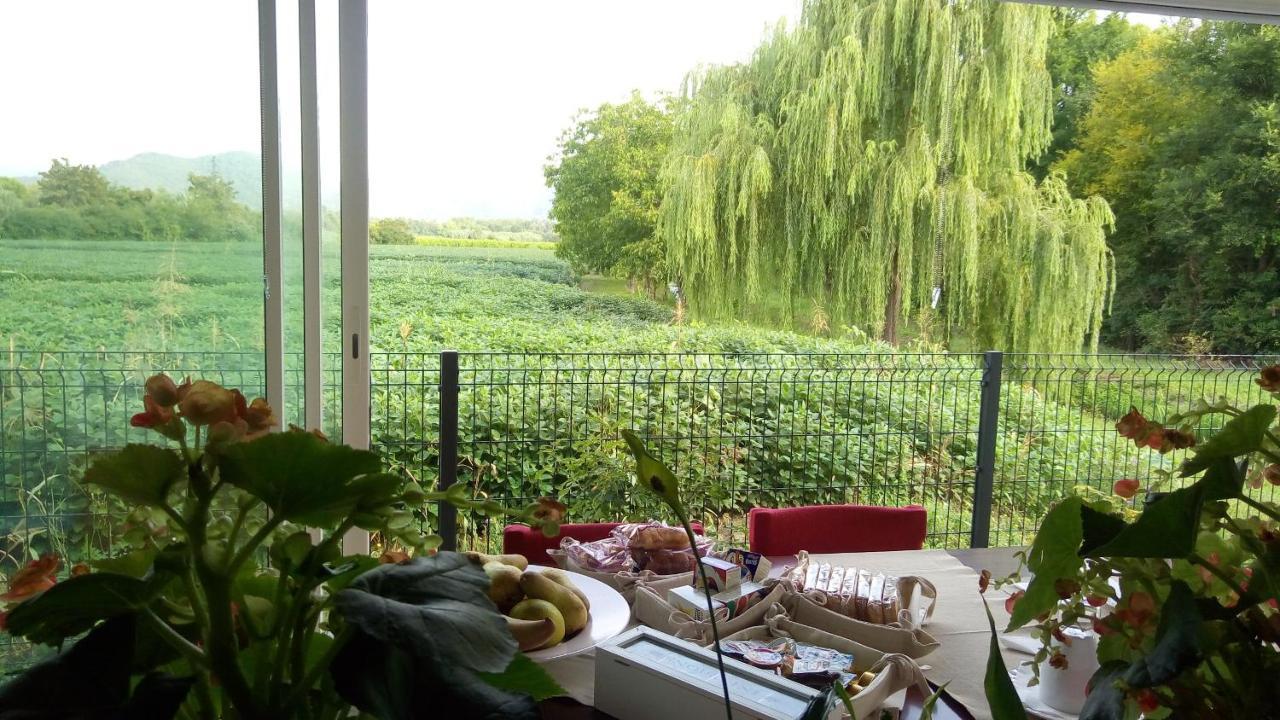 B&B La Via Dell'Ambra Due Carrare Extérieur photo